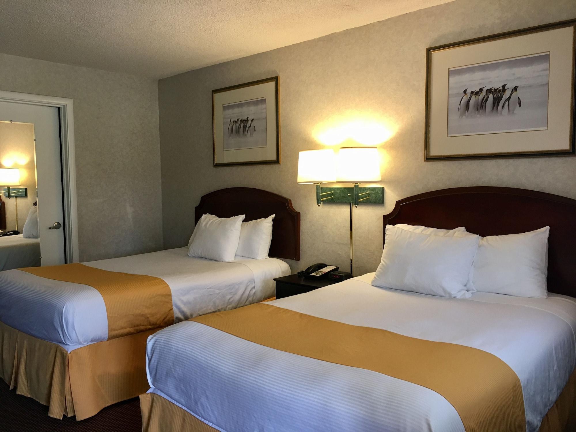 Pelican Motel 2*