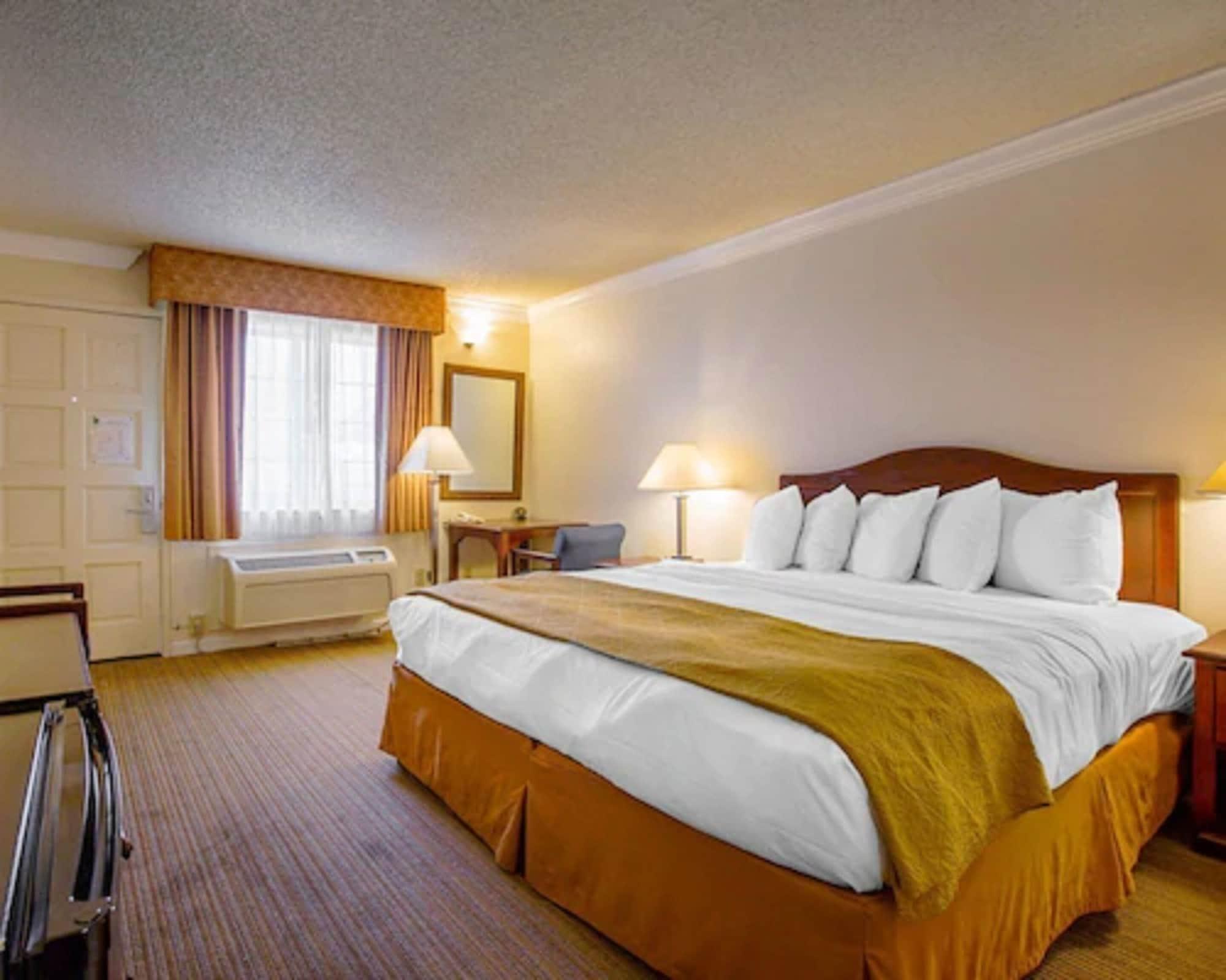 Motel Arbor 2*