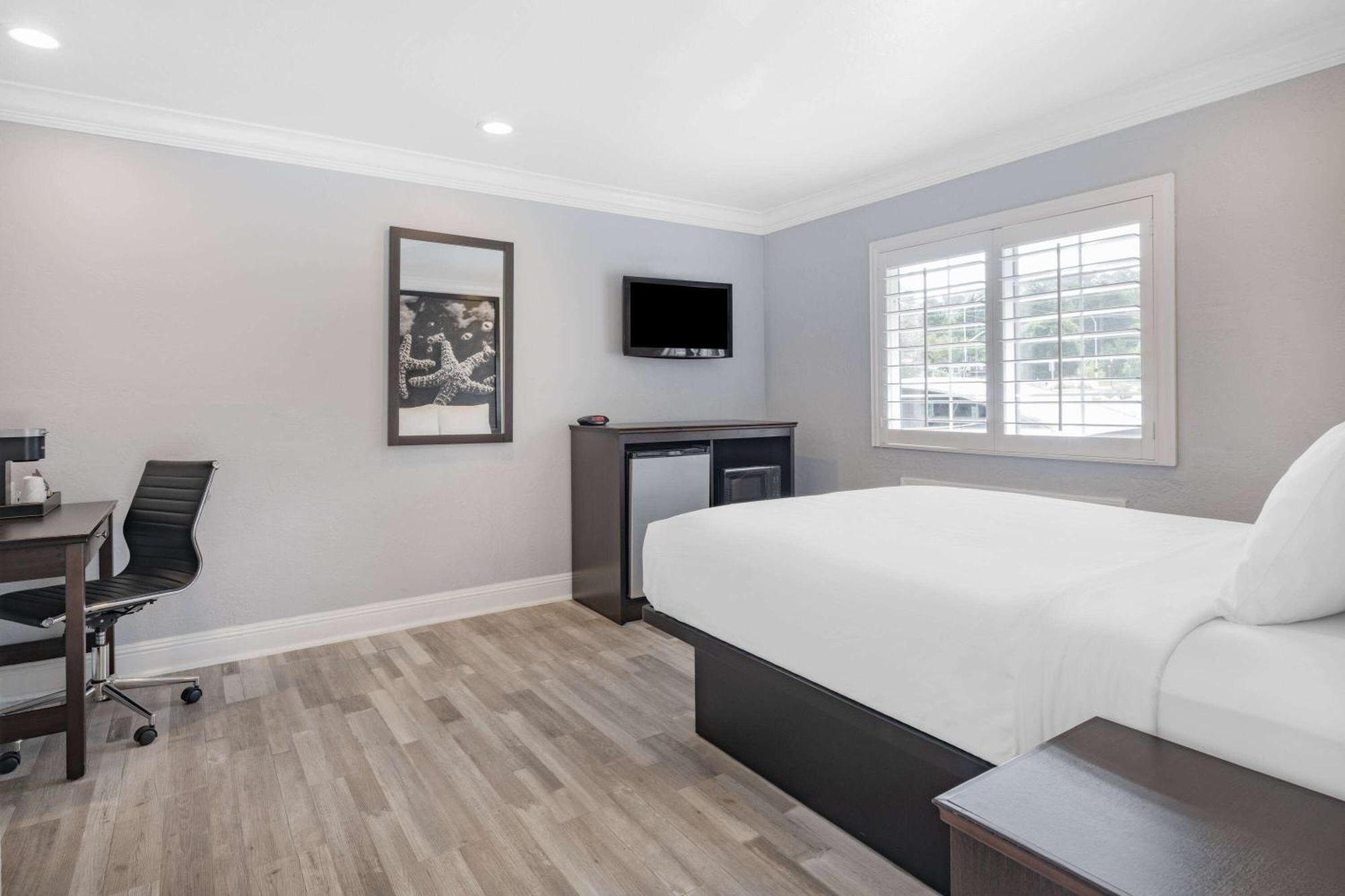 Aura Motel Monterey