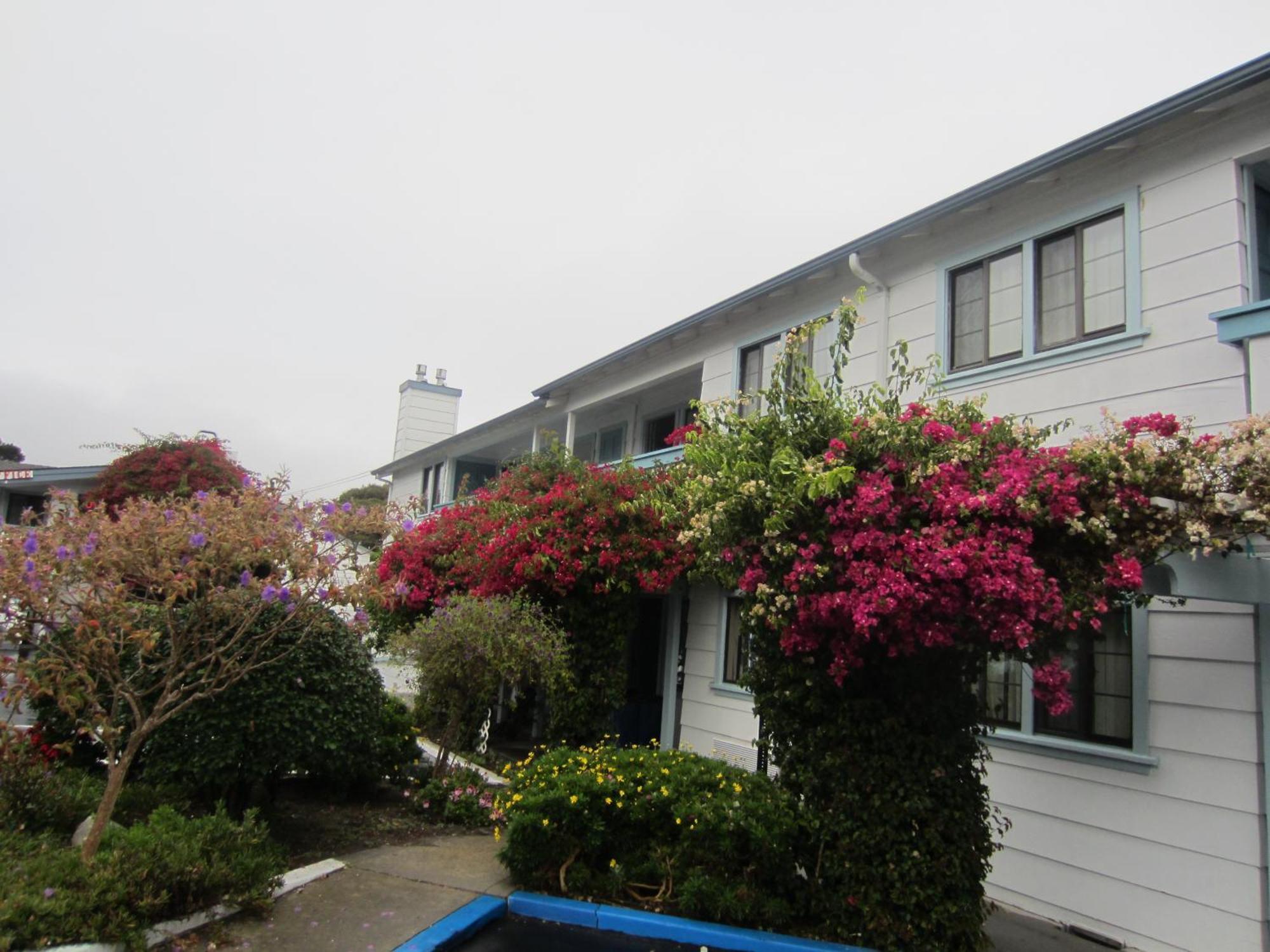 Arbor Motel