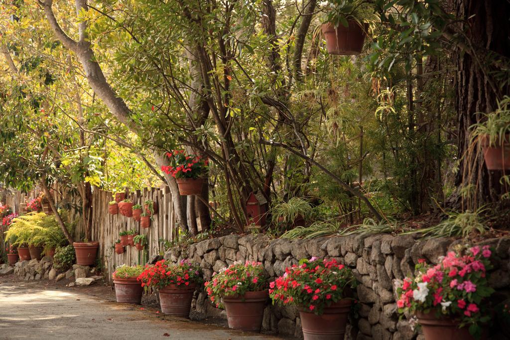 Old Bed & Breakfast Monterey