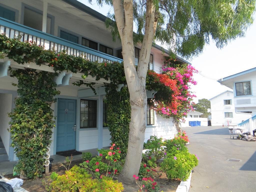 Arbor Motel Monterey