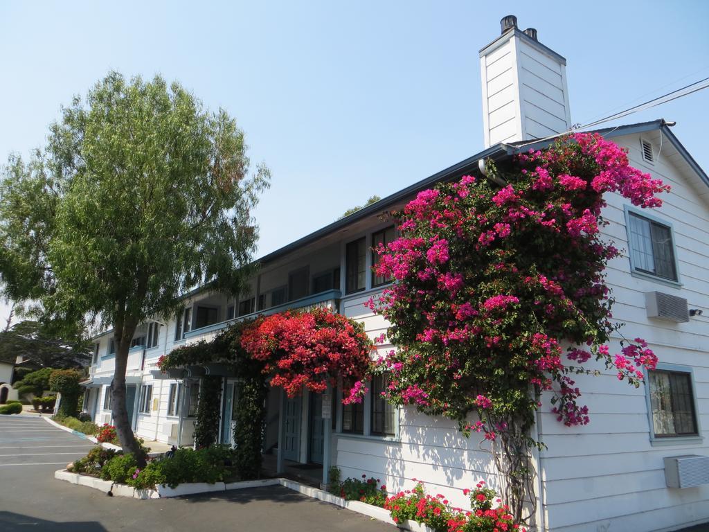 Arbor 2* Monterey