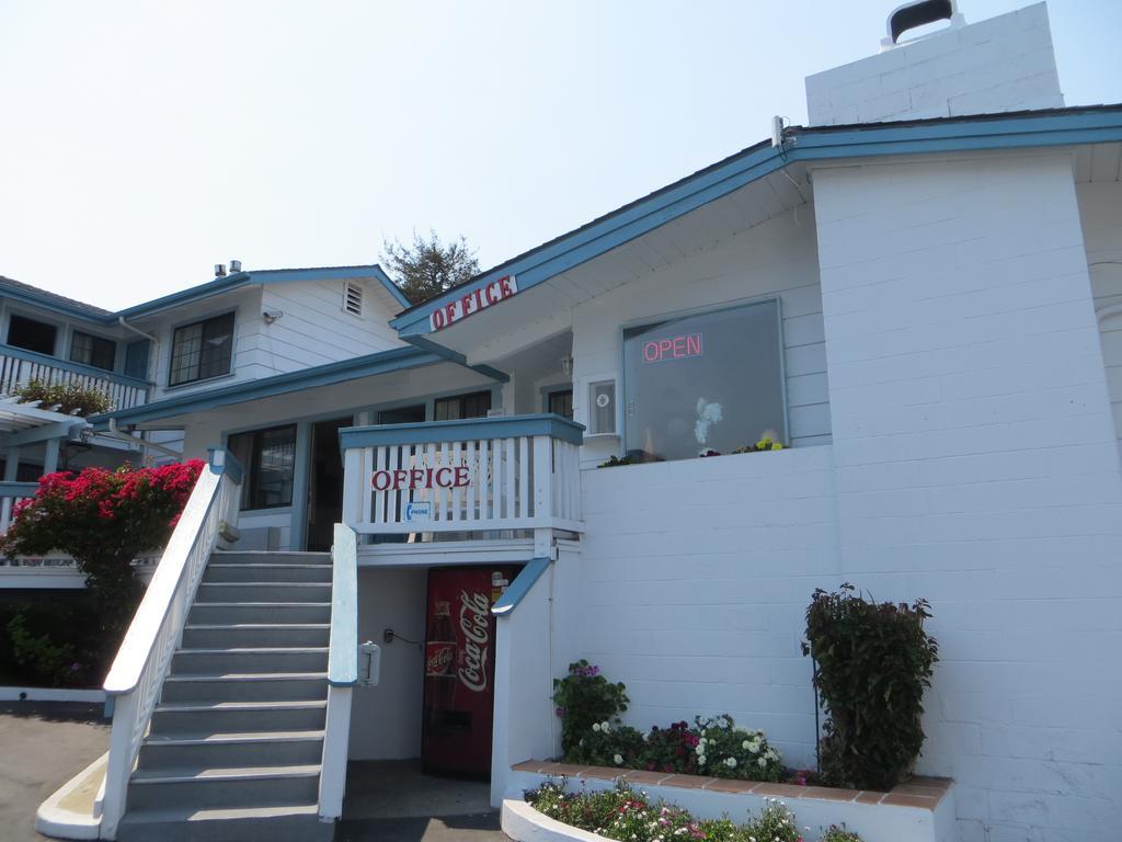 Arbor Motel