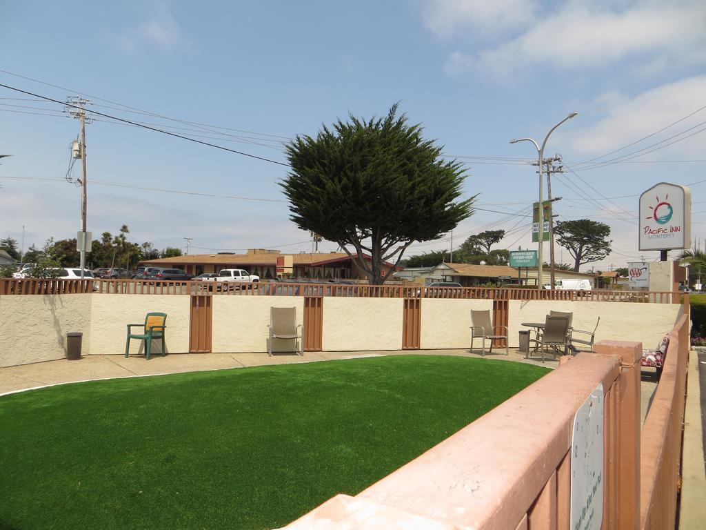 Pacific Motel 2*