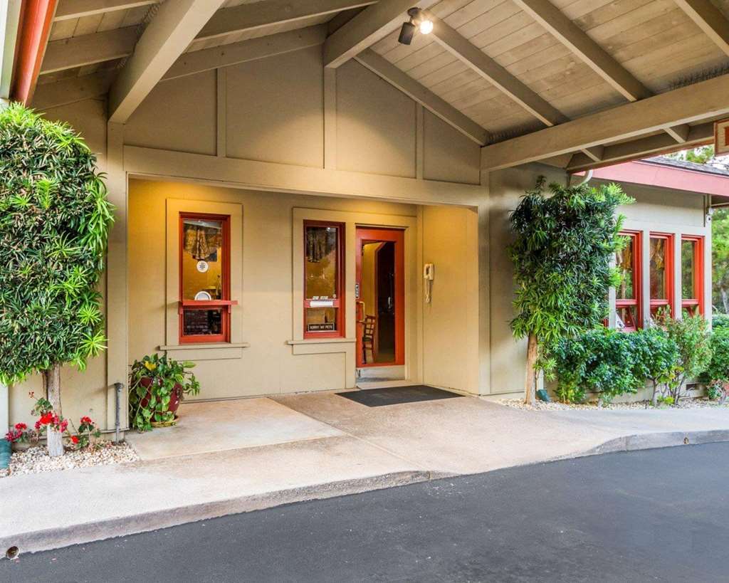 Inn Comfort Peninsula Airport