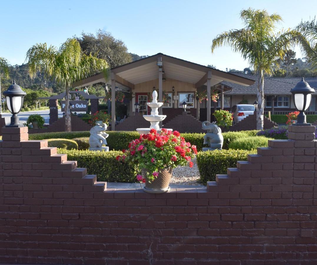 Padre Oaks Motel