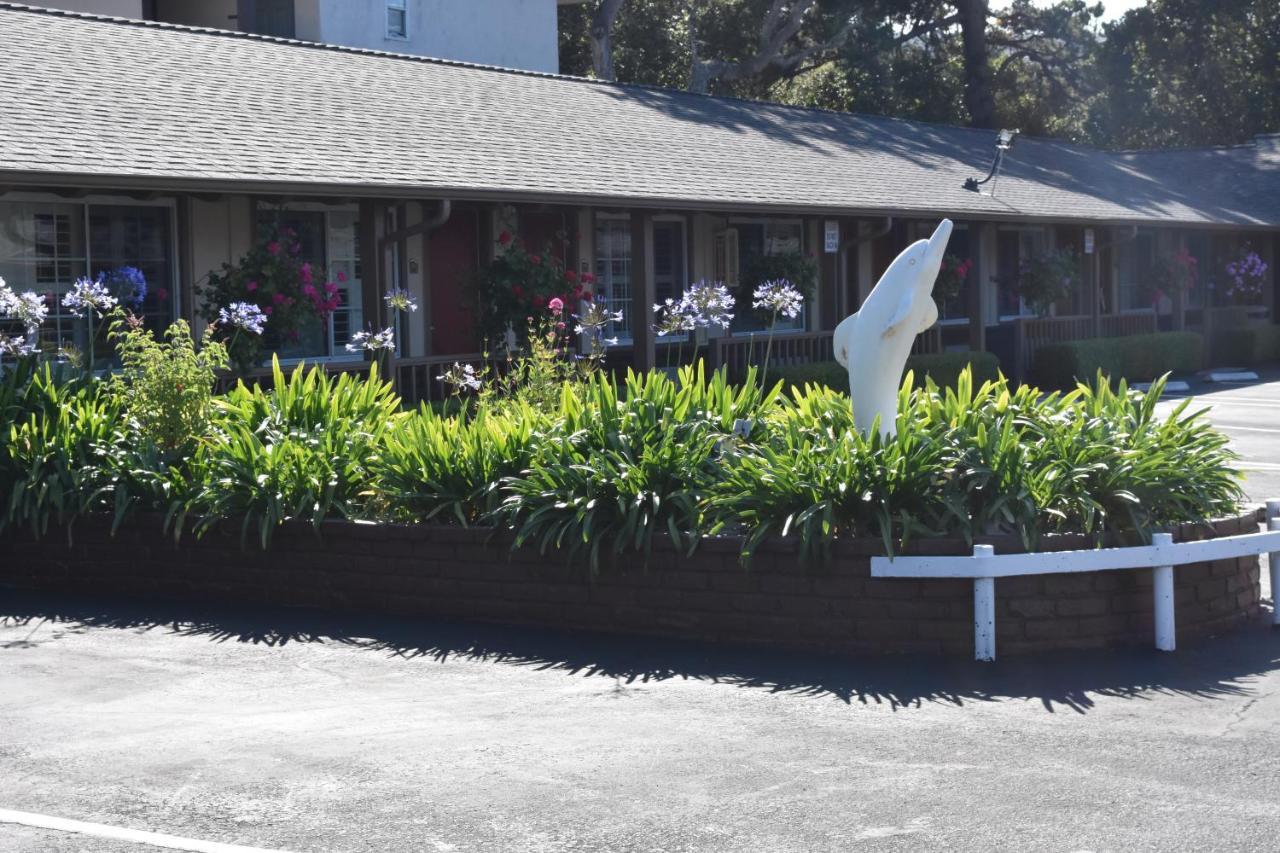 Padre Oaks Motel 2*