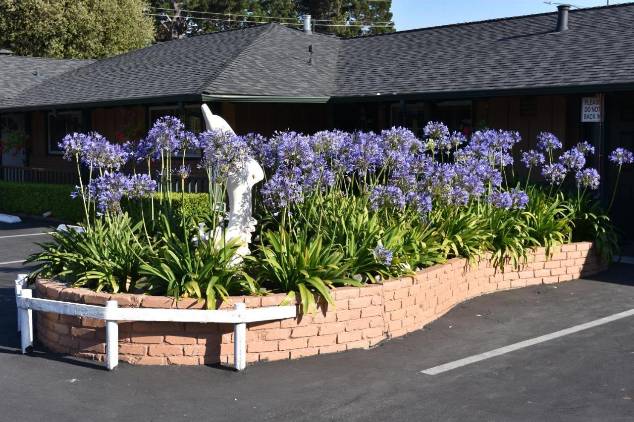 Motel Padre Oaks Monterey