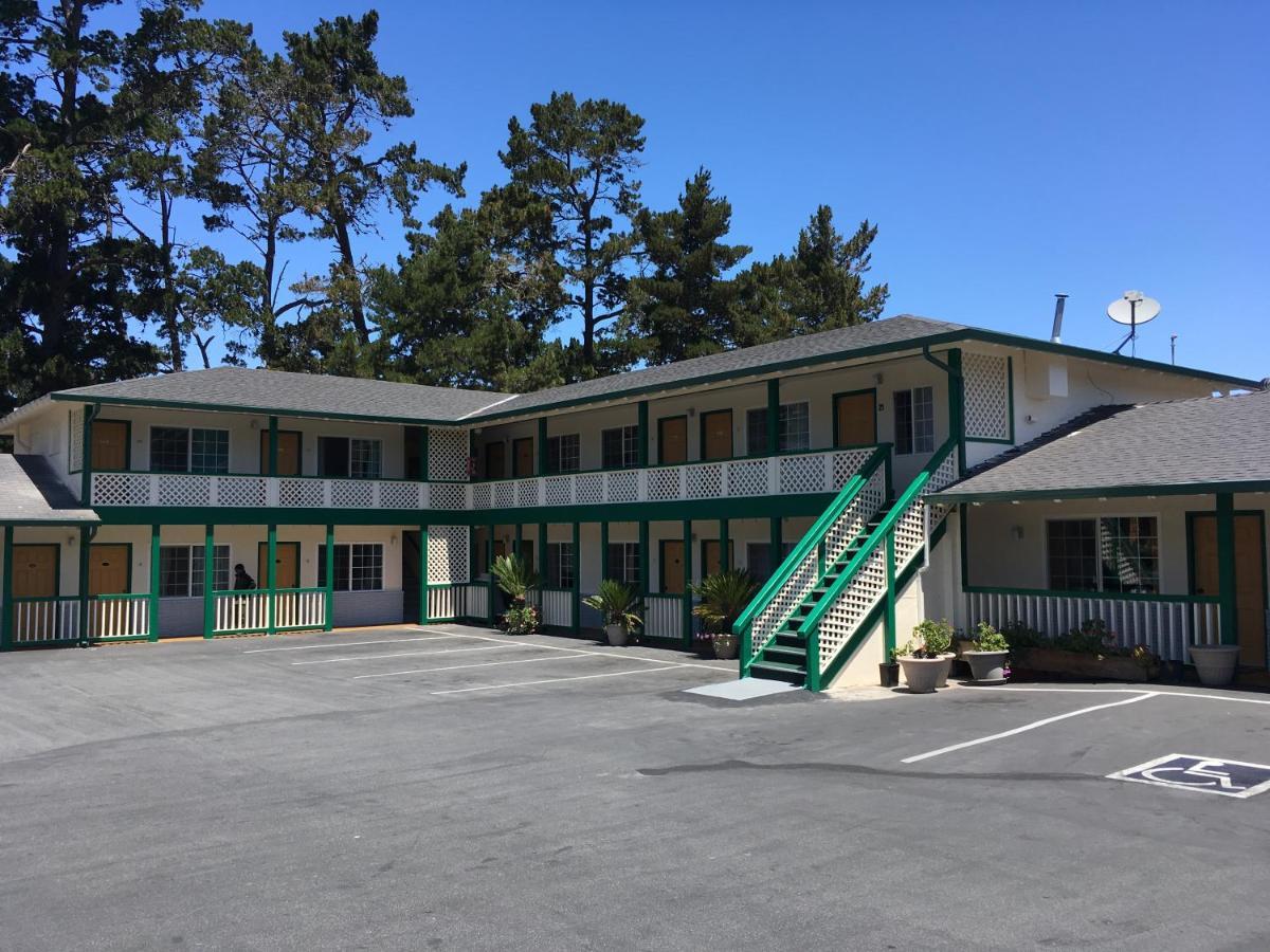 Pines