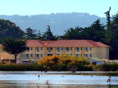 Hampton 3* Monterey