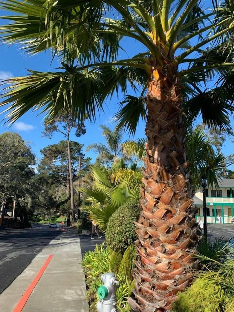 Motel Pines 2*