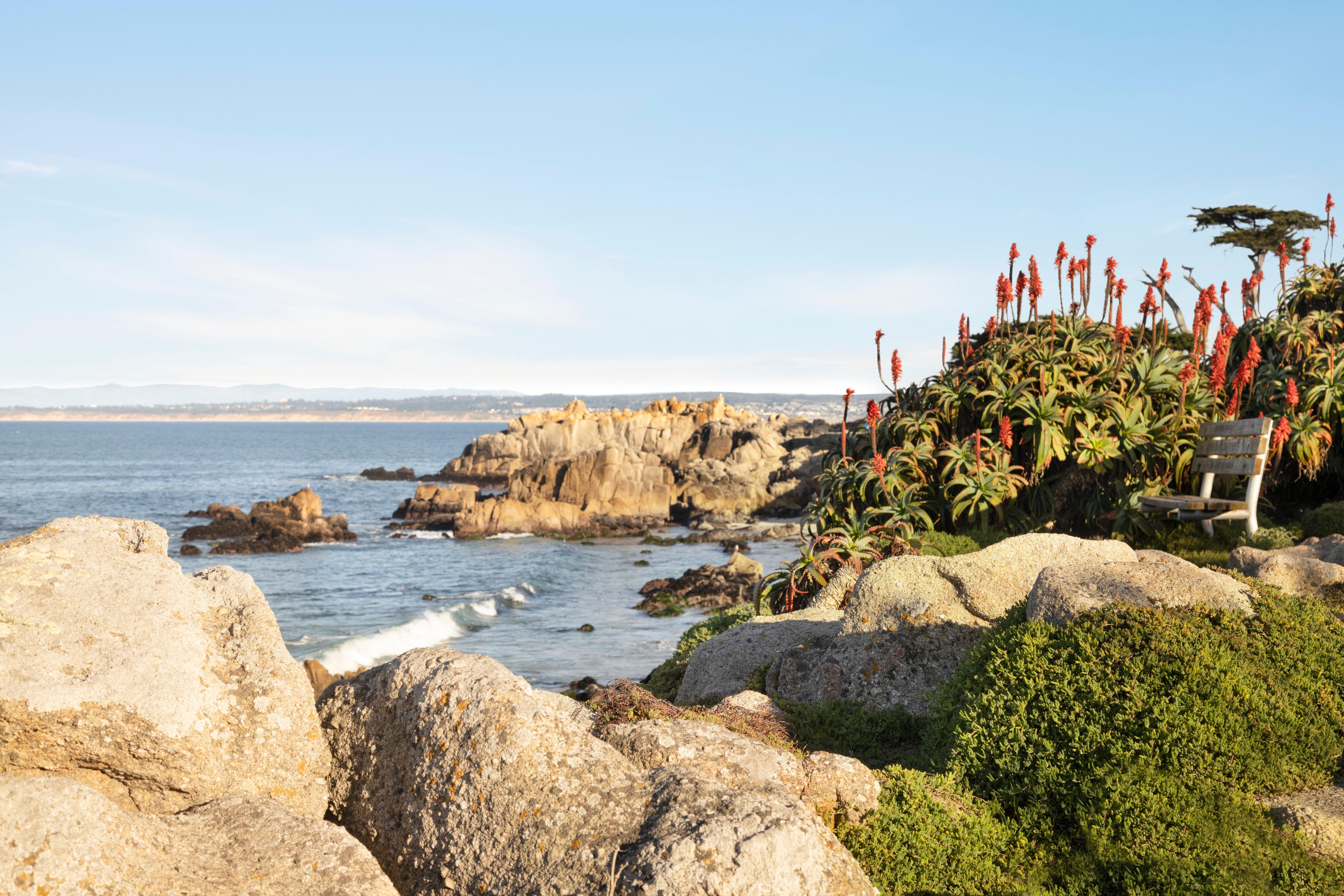 Resort Intercontinental The Clement By Ihg Monterey