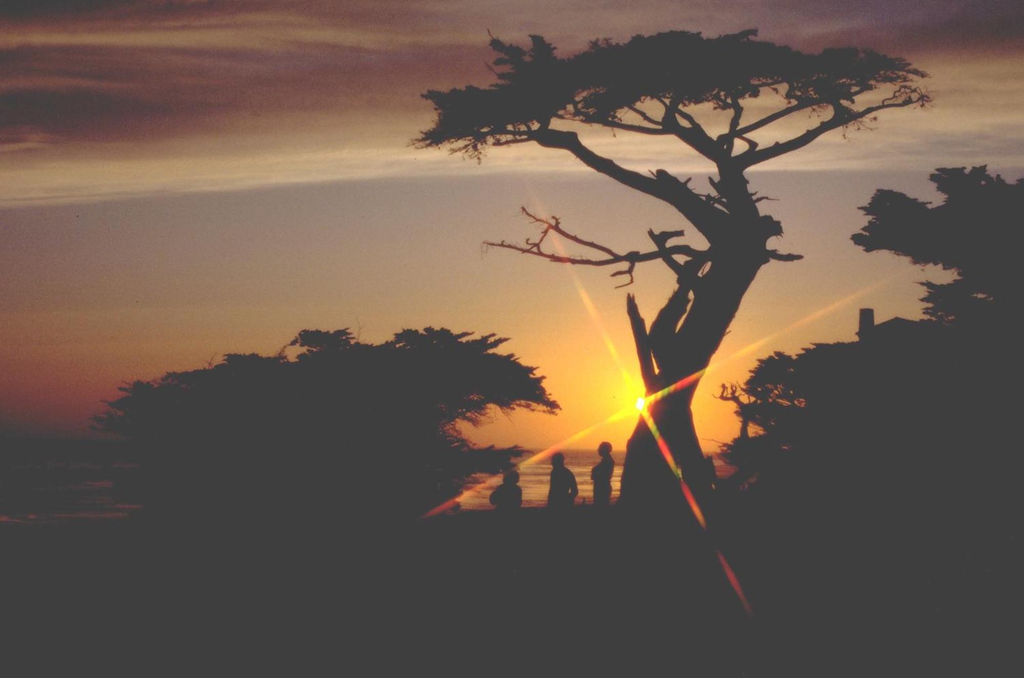 Spindrift Monterey