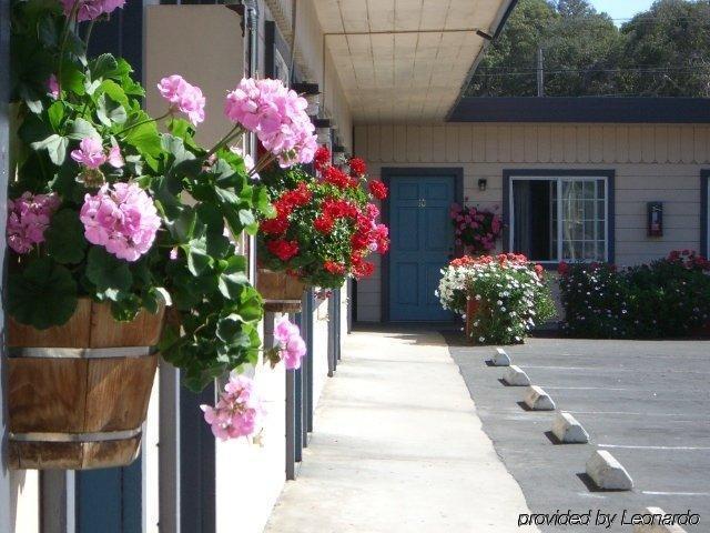 The Fremont Motel 2*