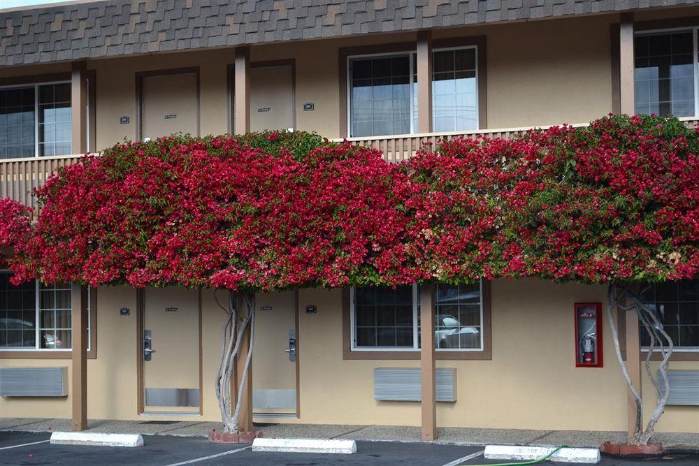 Stage Coach Motel Monterey
