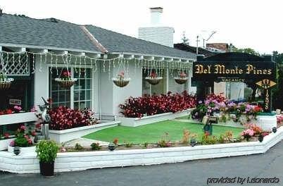 Motel Pines 2*