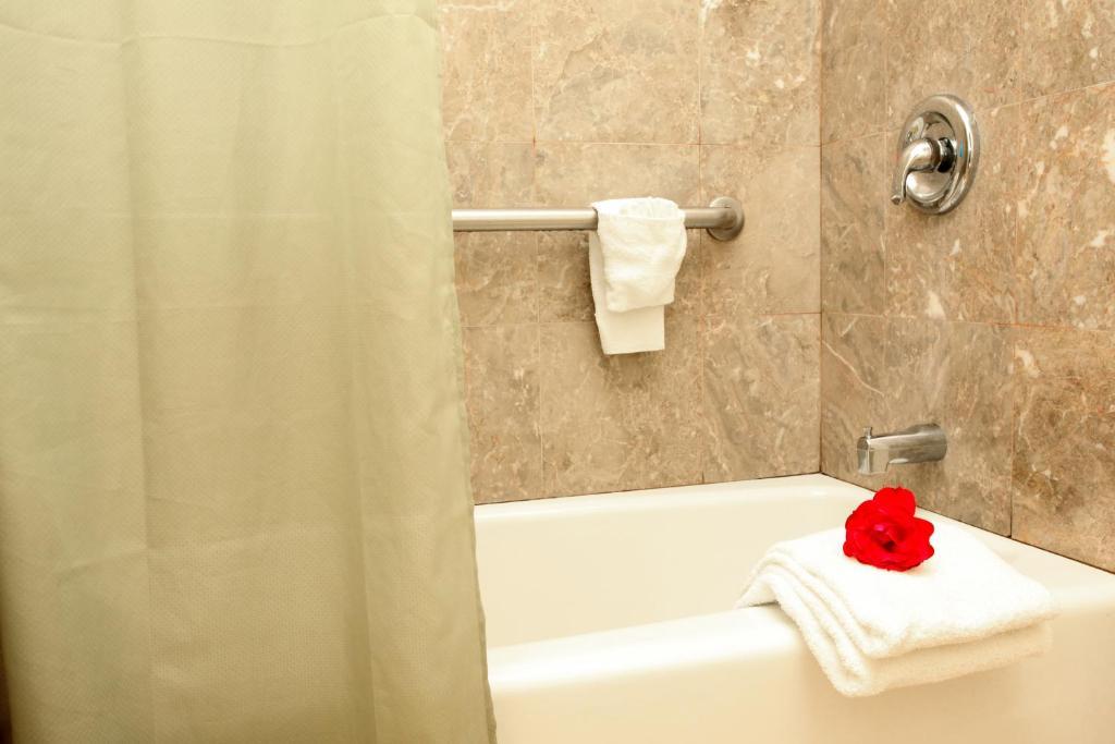 Motel Oceanside 2*