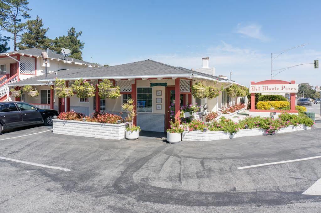 Motel Pines Monterey