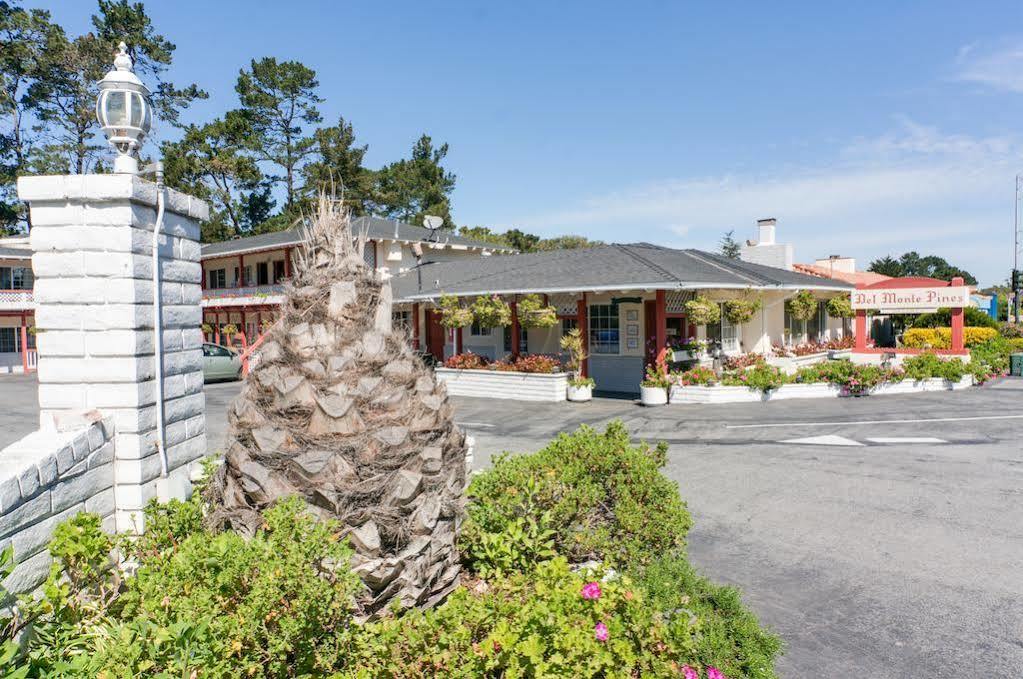 Pines Motel Monterey