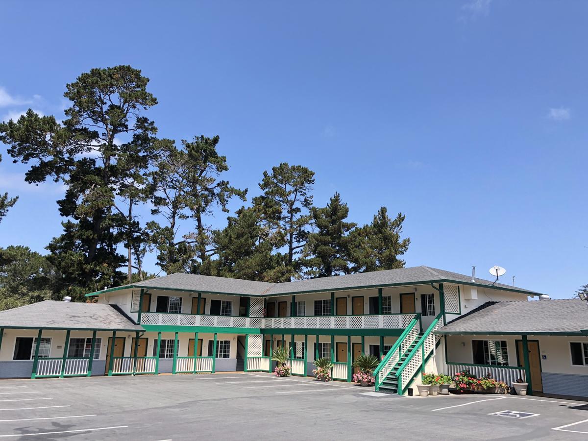 Pines Monterey