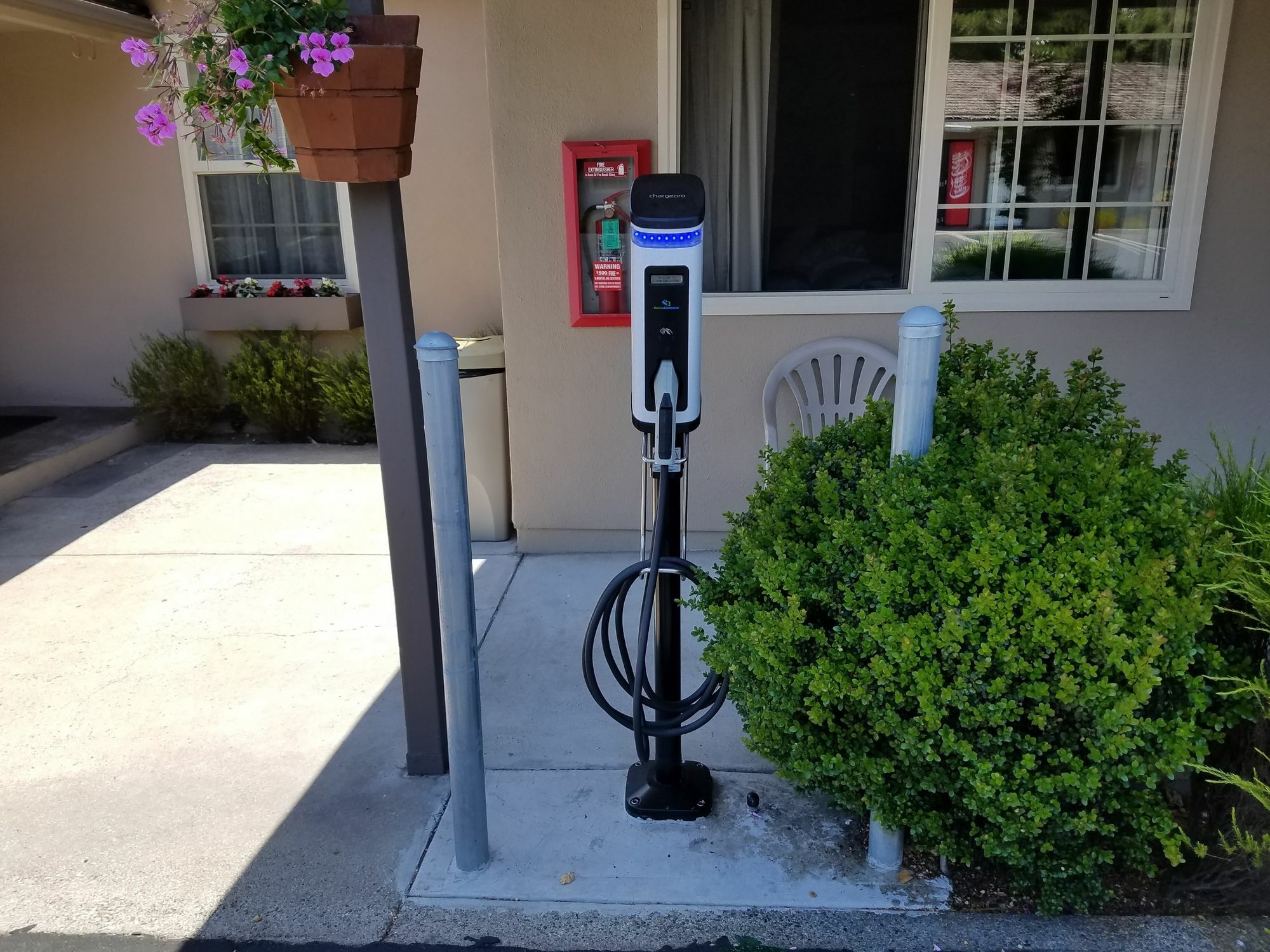 Lone Oak Monterey