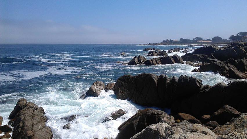 Stunning With Views Right On The Bay! Monterey